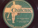Challenge (Gennett) 302 Taylor's Kty Boys FORKED DEER classic   78rpm Coutry E