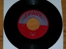 The Robins Wrap it Up Riot in Cell Block #9 Spark label 45 rpm record doo wop