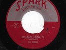 THE ROBINS 45RPM '54 SPARK RIOT IN CELL BLOCK #9 ORIGINAL VG+ VINYL