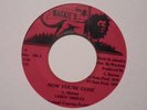 LEROY SIBBLES Now You're  Gone WACKIE'S  Nice  Rockers Reggae 7