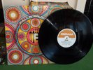 THE WEB LP   