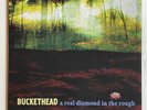 Buckethead A Real Diamond In The Rough Vinyl Record