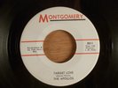 The Apollos Target Love/It's A Monster CRAZY RARE  Garage Punk (DC Area Group)