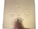 Watch The Throne Vinyl - Jay Z and Kanye West - Picture Discs RARE