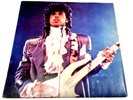 Prince And The Revolution 