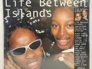 LIFE BETWEEN ISLANDS: SOUNDSYSTEM CULTURE: BLACK MUSICAL EXPRESSION IN THE UK 19