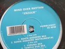 MIND OVER RHYTHM Erzulie 12