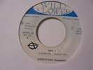 BERESFORD HAMMOND + CEDRIC BROOKS Why WILD FLOWER Rare  Soulful Reggae 7