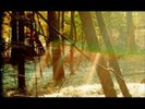 Childish Gambino Camp (Vinyl) 12