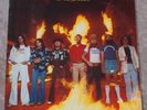 Lynyrd Skynyrd Street Survivors 1977 LP Vinyl NM- Original Complete MCA-3029