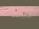 Rainer Maria Look Now Look Again (Vinyl LP)