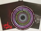 THE REYTONS * WHAT'S ROCK AND ROLL? * OOP ZOETROPE PICTURE DISC w/ NO'd SLEEVE