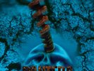 Pantera - Far Beyond Driven [Blue Vinyl] NEW Sealed Vinyl LP Album
