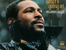 MARVIN GAYE WHAT'S GOING ON NEW SEALED 180G VINYL LP REISSUE IN STOCK