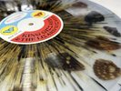 King Gizzard and the Lizard Wizard Vinyl - NEW COSMOS RECORD EXCLUSIVE - 1 Of 12
