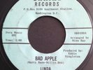 Rare 1964 SHRINE 100 Northern Soul 45 Linda &The Vistas BAD APPLE /SHE WENT AWAY
