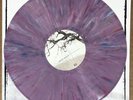 CHUCK RAGAN feast LP no idea hot water music alkaline trio springsteen