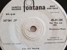 Roy Young,DEMO,Big Fat Mamma,N.Mint,Fontana,1959,Rock n Roll,Rockabilly