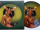 CHER Take Me Home PICTURE Disc LP 1979 VG++ Disco Pop