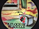 A Flock Of Seagulls Self Titled LP Vinyl picture disc 1982