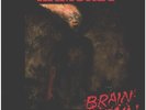 Ramones Brain Drain Sire Vinyl LP