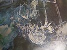 Kingdom Come- Sir Lord Baltimore - Gatefold- sterling- Mercury Original  LP