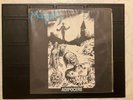 Morpheus “Adipocere” RARE death metal 7” vinyl GREY double ep