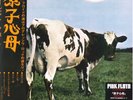 Pink Floyd BRAND NEW Vinyl LP 
