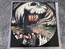 WASP 