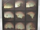 Neko Case - WILD CREATURES VINYL RECORD SLIPCOVER NOT INCLUDED SEE DESCRIPTION