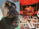 BLACKFOOT Vertical Smiles MARUADER Tomcattin HIGHWAYSONG LIVE VINYL 4 LP Lot