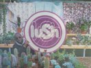 LUSH - 