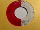 1961 OLE MISS DOWNBEATS The Hucklebuck / Slewfoot 45 Memphis Ardent