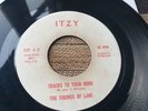Sounds Of Lane - Tracks Of Your Mind