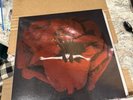 The Smashing Pumpkins - Adore NEW Sealed Vinyl LP Album