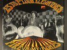 THIRTEENTH FLOOR ELEVATORS: fire in my bones TEXAS ARCHIVES 12
