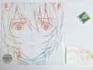 EVANGELION One Last Kiss Hikaru Utada w/Sticker Limited Edition Record LP Japan