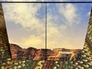 Ryan Adams - Prisoner: End Of The World Edition - Box Set Multicolor Vinyl