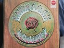 Grateful Dead - American Beauty Limited Edition Limeaid Vinyl LP Target