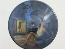 MORTICIAN Chainsaw Dismemberment AE16941 LP Vinyl VG+near++ Picture Disc RARE