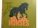 I BREAK HORSES - Winter Beats  / 2011  12