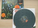 Lana Del Rey - Violet Bent Backwards... 2020 LP Exclusive Green Vinyl Record