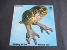 Brainchild - Healing Of The Lunatic Owl 1970 UK LP A&M 1st PROG/PSYCH