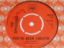 The APPLEJACKS - You`ve Been Cheatin` -- VERY RARE UK 1967 -- NORTHERN SOUL  7