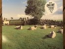The KLF - Chill Out [JAMS LP5] First Pressing Ambient Vinyl LP - Excellent Con.