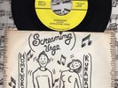 The Screaming Urge Homework Runaway New Age 45 Record Pix Sleeve RARE MINT- OHIO