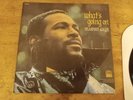 MARVIN GAYE 