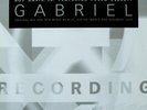 Roy Davis Jr. - Gabriel - Used Vinyl Record 12 - D7751A