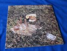 KOZMIC MUFFIN / Space Between Grief.. OG SPAIN LIMITED LP 1st PRESS 1997 PSYCH