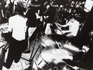 Wolf Parade Apologies to the Queen Mary  (Vinyl)  (UK IMPORT)